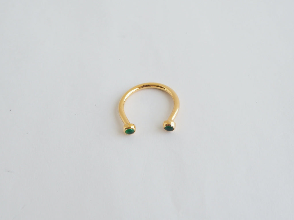 Jorge Morales Ring