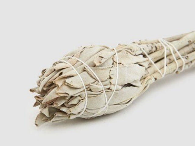 White Sage